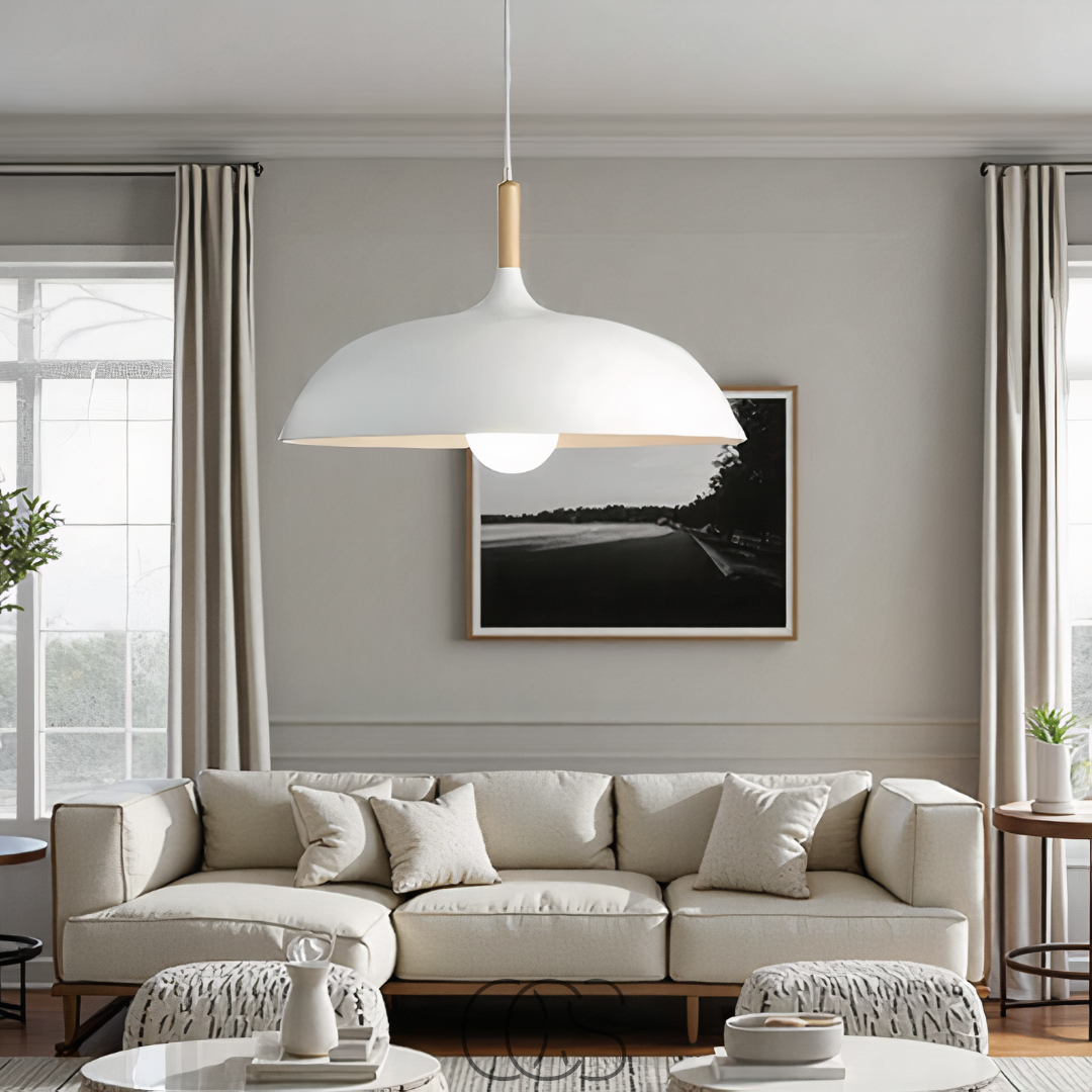 Opertsa - Modern Matte Black Ceiling Lamp