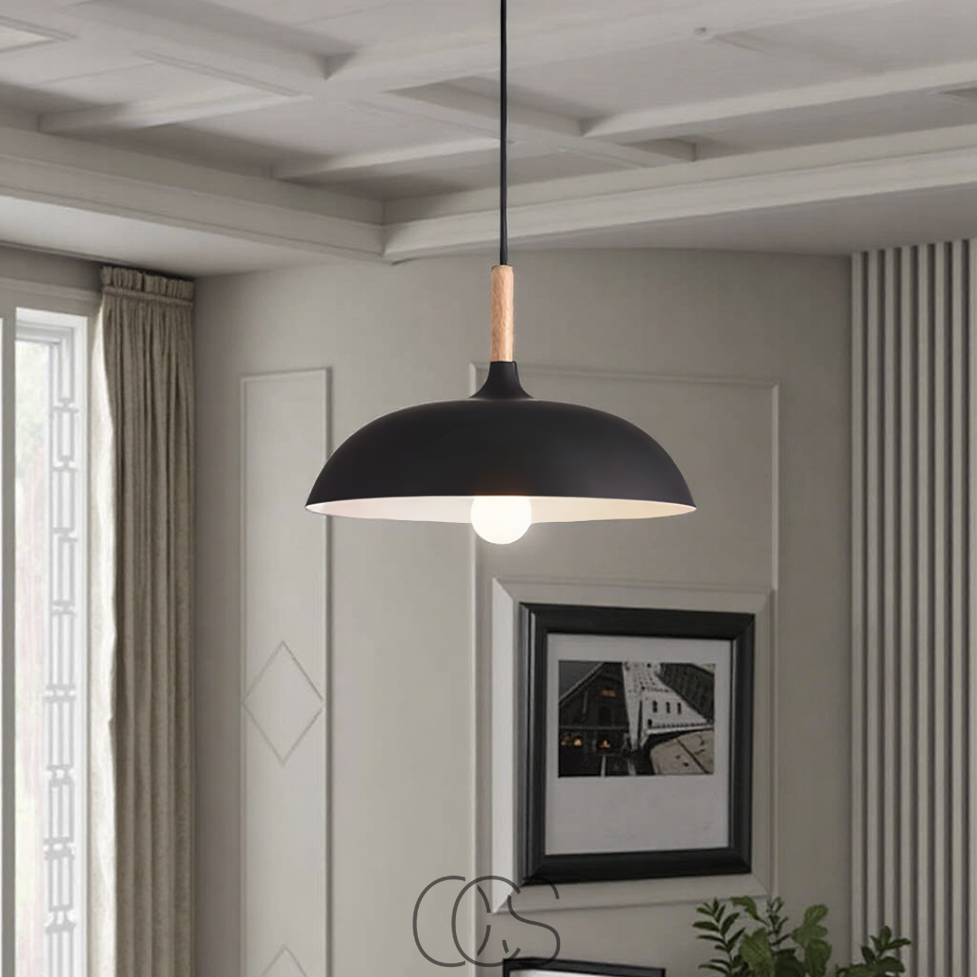 Opertsa - Modern Matte Black Ceiling Lamp