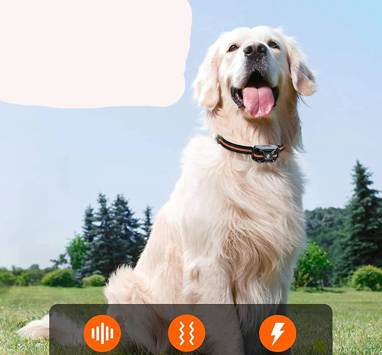 Premium 1000m Dog Training Collar with Remote - Waterproof, Rechargeable E-Collar for All Dog Sizes