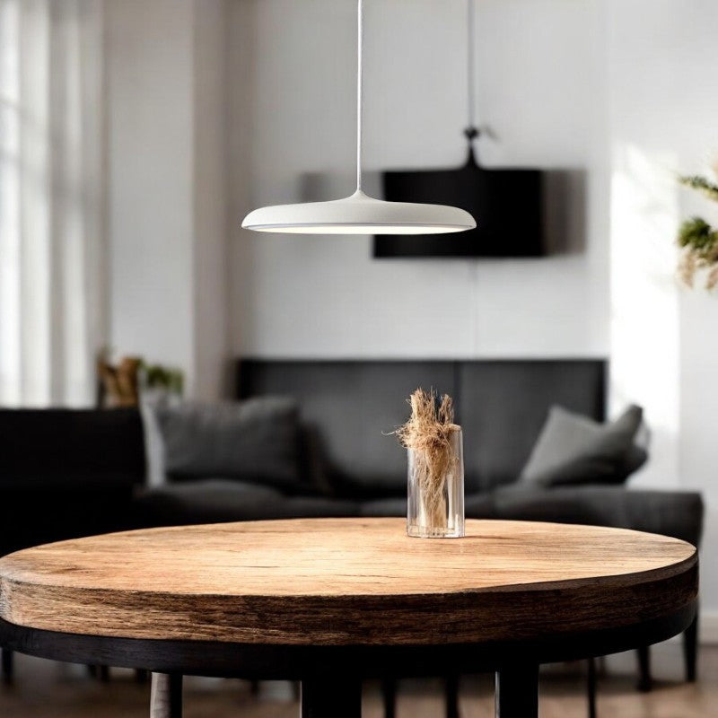 Elegant Scandinavian Pendant Lamp
