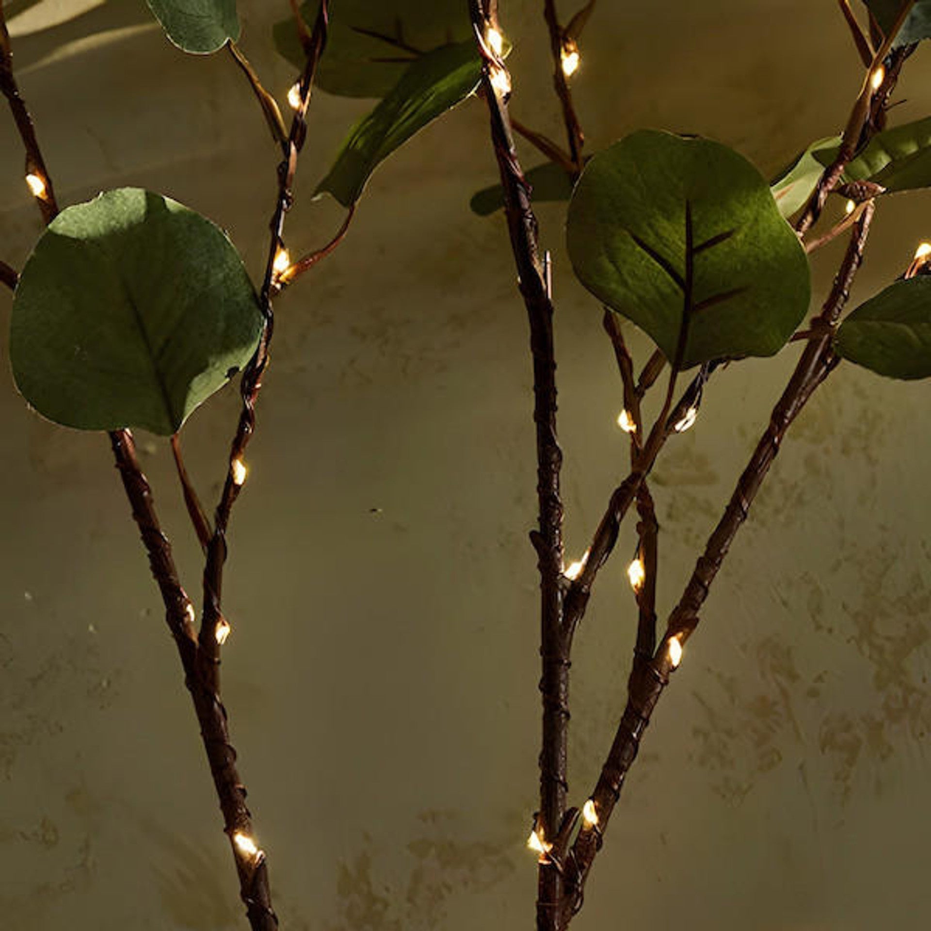 Enchanting Olive Branch Fairy Lights with 120 Warm White LEDs – 70cm Decorative Accent