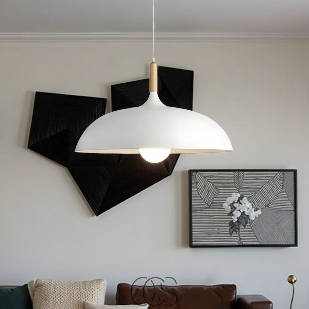 Opertsa - Modern Matte Black Ceiling Lamp
