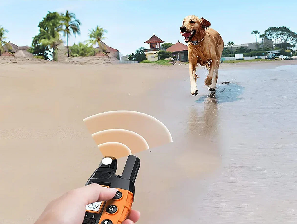 Collier d'entraînement pour chien Premium 1000m avec télécommande - Collier électronique étanche et rechargeable pour toutes tailles de chiens