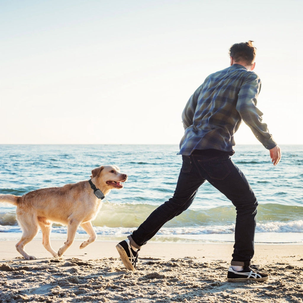 Pawfey GPS Pro Kabelloses Hundezau-System – Sichern Sie die Freiheit Ihres Hundes