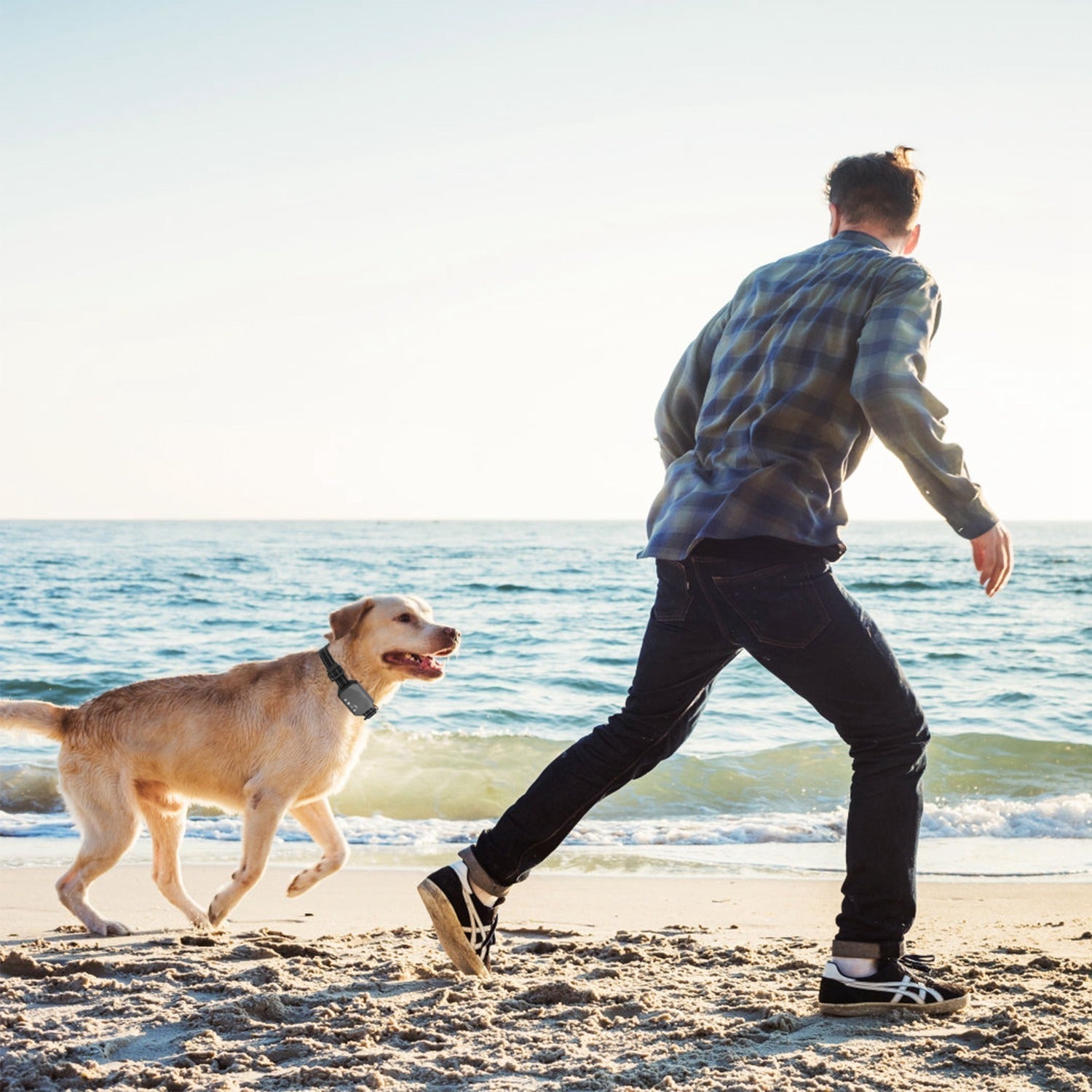 Pawfey GPS Pro Kabelloses Hundezau-System – Sichern Sie die Freiheit Ihres Hundes