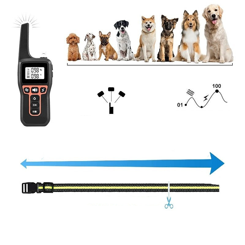 Collier d'entraînement pour chien étanche rechargeable 1000m