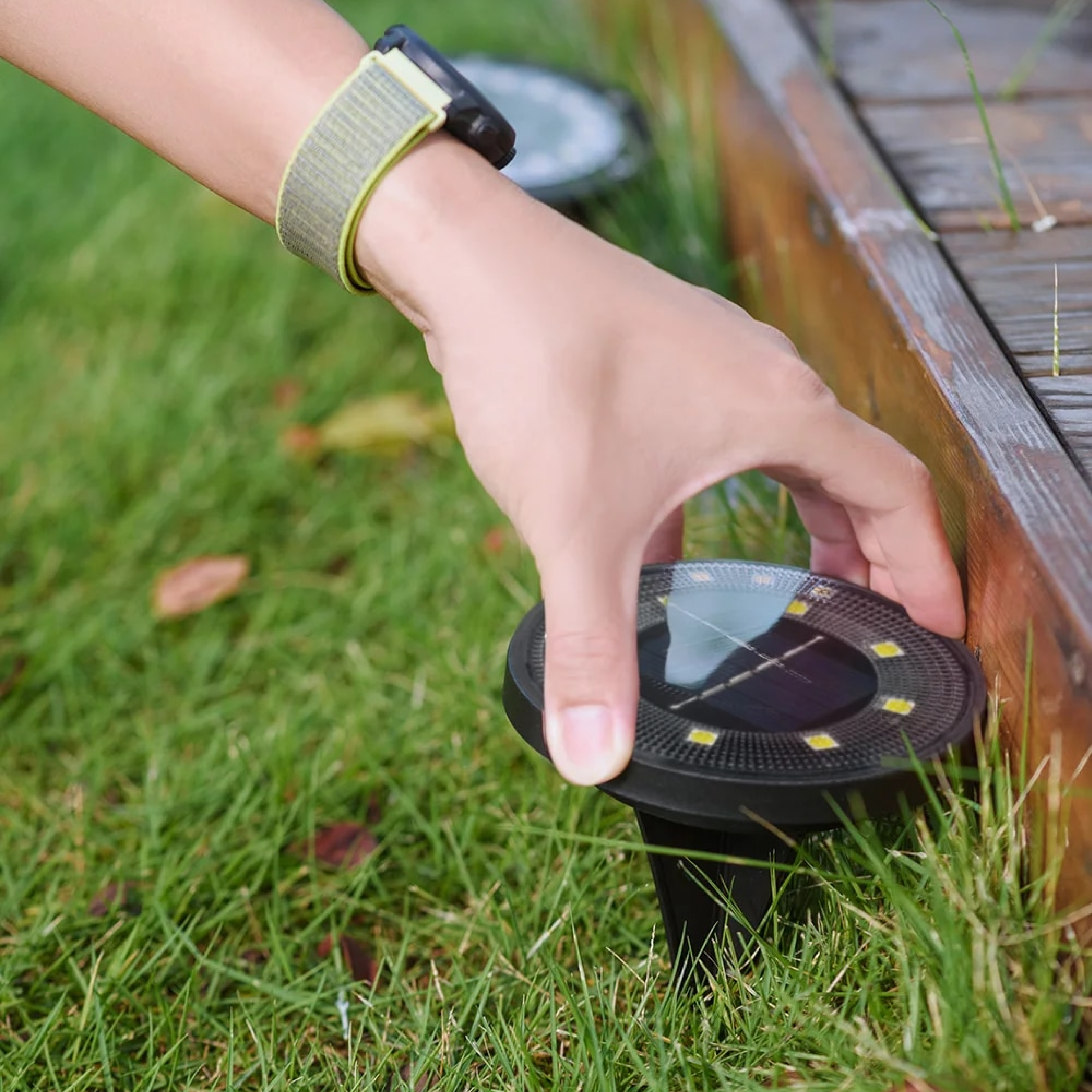 Solar Garden Lights