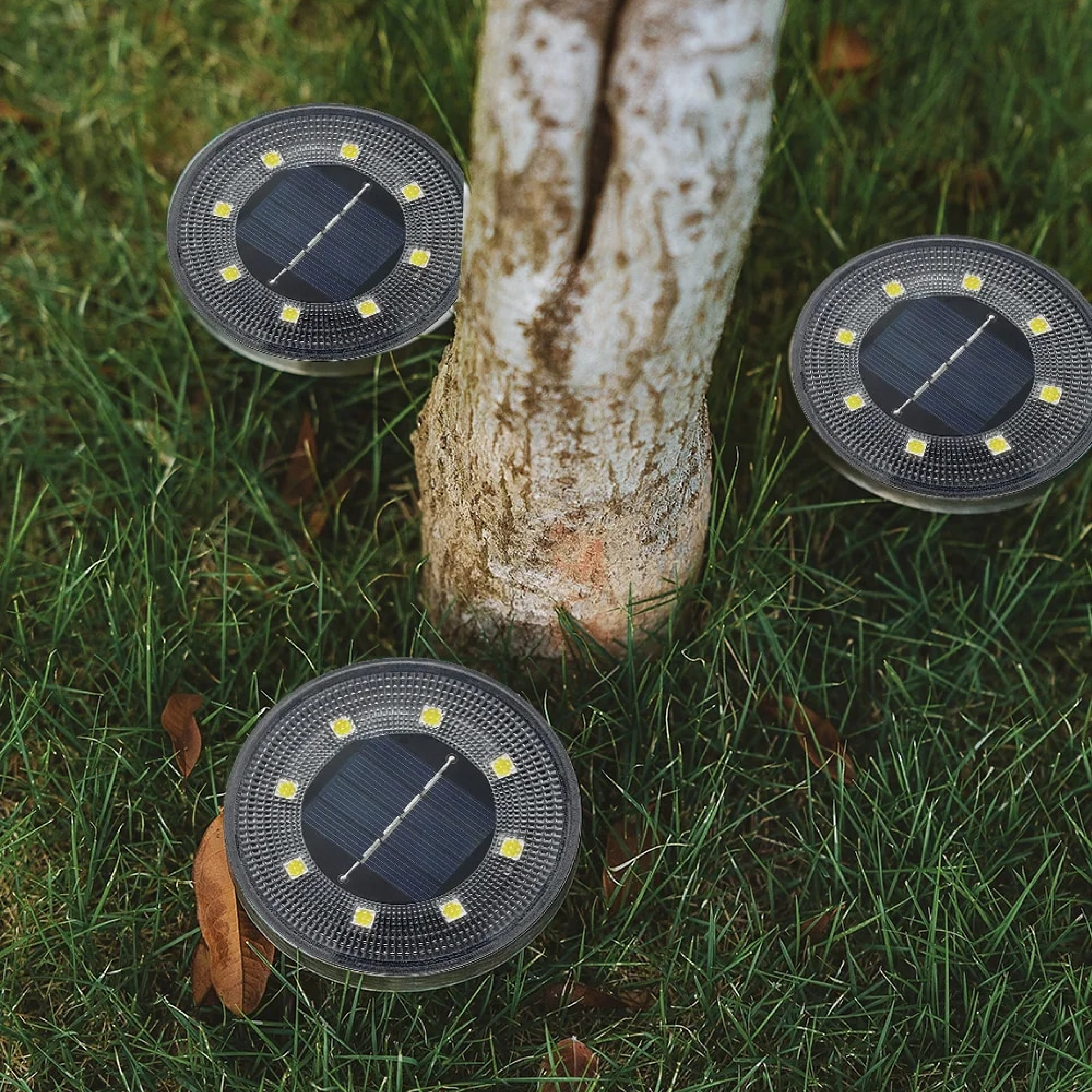 Solar Garden Lights