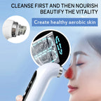 Upgraded Blackhead Remover Pore Vacuum